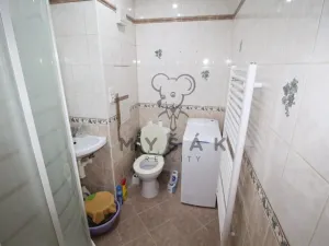 Pronájem bytu 1+kk, České Budějovice - České Budějovice 3, Plzeňská, 21 m2