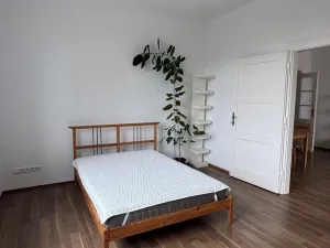 Pronájem bytu 2+1, Praha, náměstí Hrdinů, 60 m2