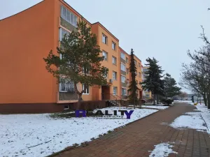 Pronájem bytu 1+1, Žatec, Stavbařů, 40 m2