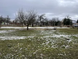 Prodej rodinného domu, Bučovice, Polní, 204 m2