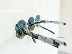 Prodej činžovního domu, Teplice, Spojenecká, 1290 m2