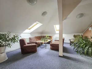 Pronájem komerční nemovitosti, Duchcov, Tyršova, 295 m2