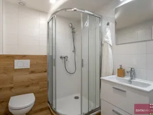 Pronájem bytu 1+kk, Šternberk, Olomoucká, 32 m2