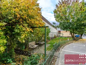 Pronájem bytu 1+1, Olomouc, Dr. Milady Horákové, 39 m2