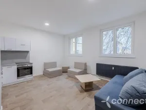 Pronájem bytu 1+kk, Přerov - Přerov I-Město, Husova, 30 m2