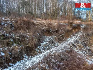 Prodej pozemku pro bydlení, Benešov nad Ploučnicí, 4585 m2