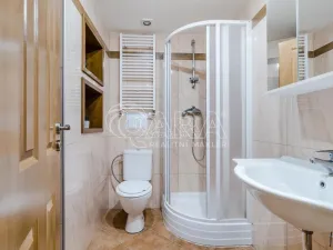 Pronájem bytu 2+kk, Praha - Vinohrady, Francouzská, 45 m2