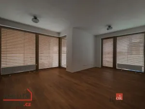 Pronájem bytu 3+kk, Plzeň - Východní Předměstí, Zahradní, 74 m2