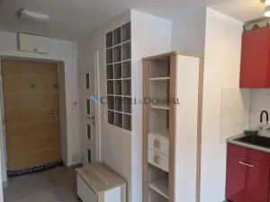 Prodej bytu 1+1, Ostrava - Zábřeh, Čujkovova, 27 m2