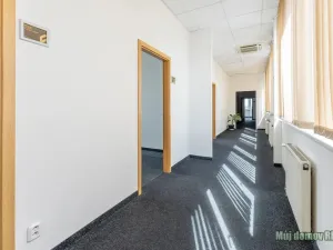 Pronájem kanceláře, Praha - Strašnice, V olšinách, 100 m2