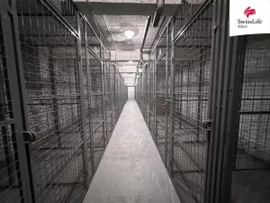 Pronájem bytu 2+kk, Praha - Žižkov, Jeseniova, 55 m2