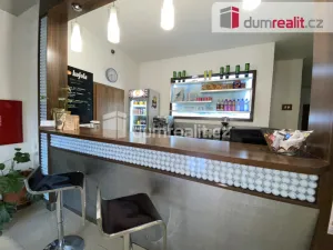 Pronájem komerční nemovitosti, Břeclav, Na Hrůdách, 70 m2