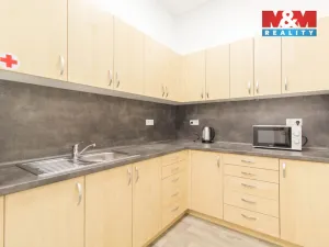 Pronájem kanceláře, Praha, Podbabská, 20 m2