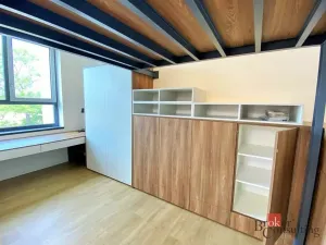 Pronájem bytu 2+kk, Ostrava - Moravská Ostrava, Křižíkova, 44 m2