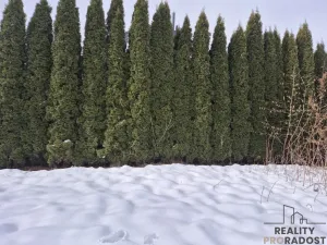 Prodej pozemku pro bydlení, Třinec - Oldřichovice, 1363 m2