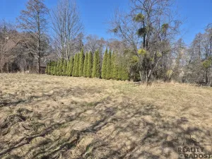 Prodej pozemku pro bydlení, Třinec - Oldřichovice, 1363 m2