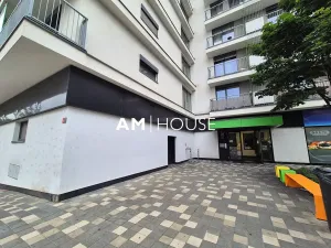 Pronájem bytu 1+kk, Praha - Malešice, Nad úžlabinou, 38 m2