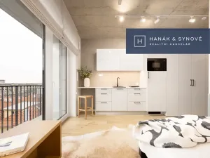 Pronájem bytu 1+kk, Brno, Koliště, 22 m2