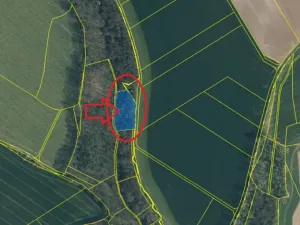 Prodej lesa, Boreč, 3833 m2