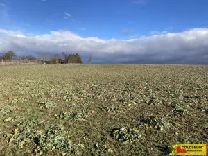 Prodej pozemku pro bydlení, Znojmo - Přímětice, 750 m2