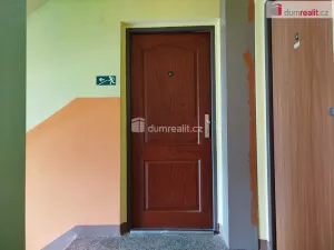 Prodej bytu 2+1, Chodov, U Porcelánky, 63 m2