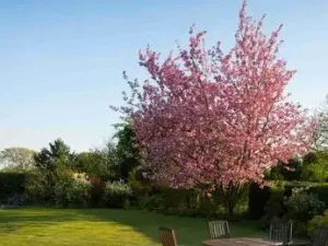 Prodej chalupy, Opočno, 160 m2