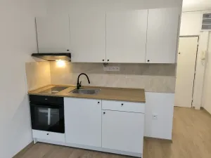 Pronájem bytu 1+1, Teplice - Trnovany, U Vlastního krbu, 35 m2