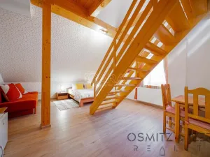 Prodej ubytování, Vikýřovice, Petrovská, 1063 m2