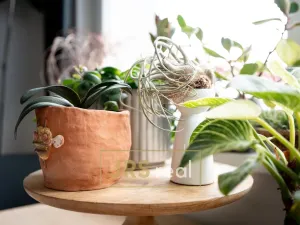 Prodej bytu 3+1, Uherské Hradiště, 69 m2