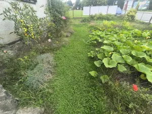 Prodej rodinného domu, Pastviny, 145 m2