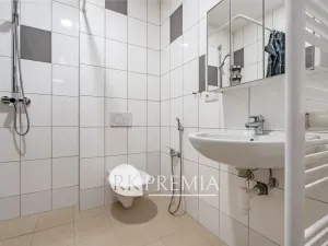 Pronájem bytu 3+1, Teplice, U Hadích lázní, 115 m2