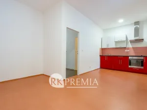 Pronájem bytu 3+1, Teplice, U Hadích lázní, 115 m2