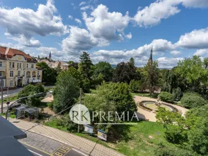 Pronájem bytu 3+1, Teplice, U Hadích lázní, 115 m2