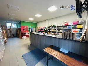 Prodej obchodního prostoru, Bystřice pod Hostýnem, Holešovská, 3567 m2