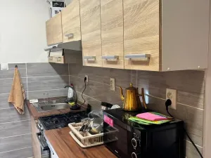 Pronájem bytu 1+kk, Praha - Troja, Trojská, 40 m2