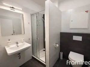 Pronájem bytu 2+kk, Brno, Křídlovická, 57 m2