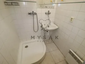 Pronájem bytu 3+1, České Budějovice - České Budějovice 3, Fráni Šrámka, 58 m2