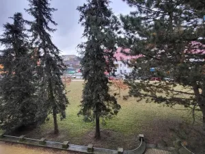 Pronájem bytu 3+1, Vyškov - Vyškov-Předměstí, Smetanovo nábřeží, 84 m2