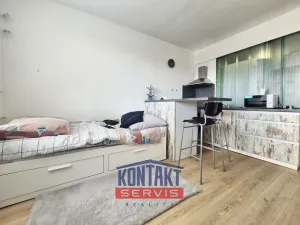 Pronájem bytu 1+kk, České Budějovice, Puklicova, 21 m2