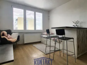 Pronájem bytu 1+kk, České Budějovice, Puklicova, 21 m2