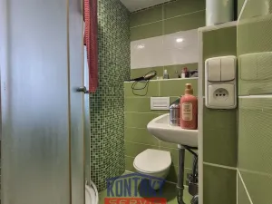 Pronájem bytu 1+kk, České Budějovice, Puklicova, 21 m2