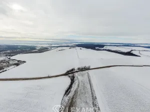 Prodej podílu 1/2 pole, Černín, 54498 m2