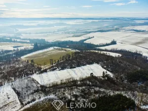 Prodej podílu 1/2 pole, Černín, 54498 m2