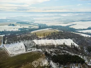 Prodej podílu 1/2 pole, Černín, 54498 m2