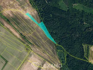 Prodej podílu 1/2 pole, Běhařovice - Ratišovice, 54498 m2