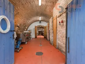 Prodej vinného sklepa, Mikulov, 1. května, 80 m2