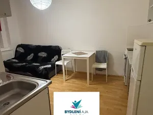Pronájem bytu 1+kk, Teplice, 14. října, 25 m2