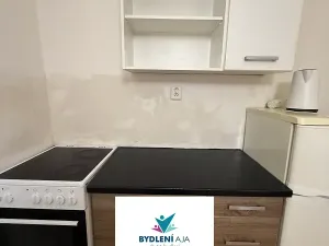 Pronájem bytu 1+kk, Teplice, 14. října, 25 m2