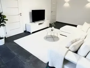 Prodej bytu 4+1, Teplice, J. Á. Komenského, 109 m2