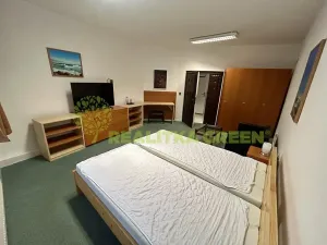 Pronájem bytu 1+1, Vizovice, Lázeňská, 65 m2